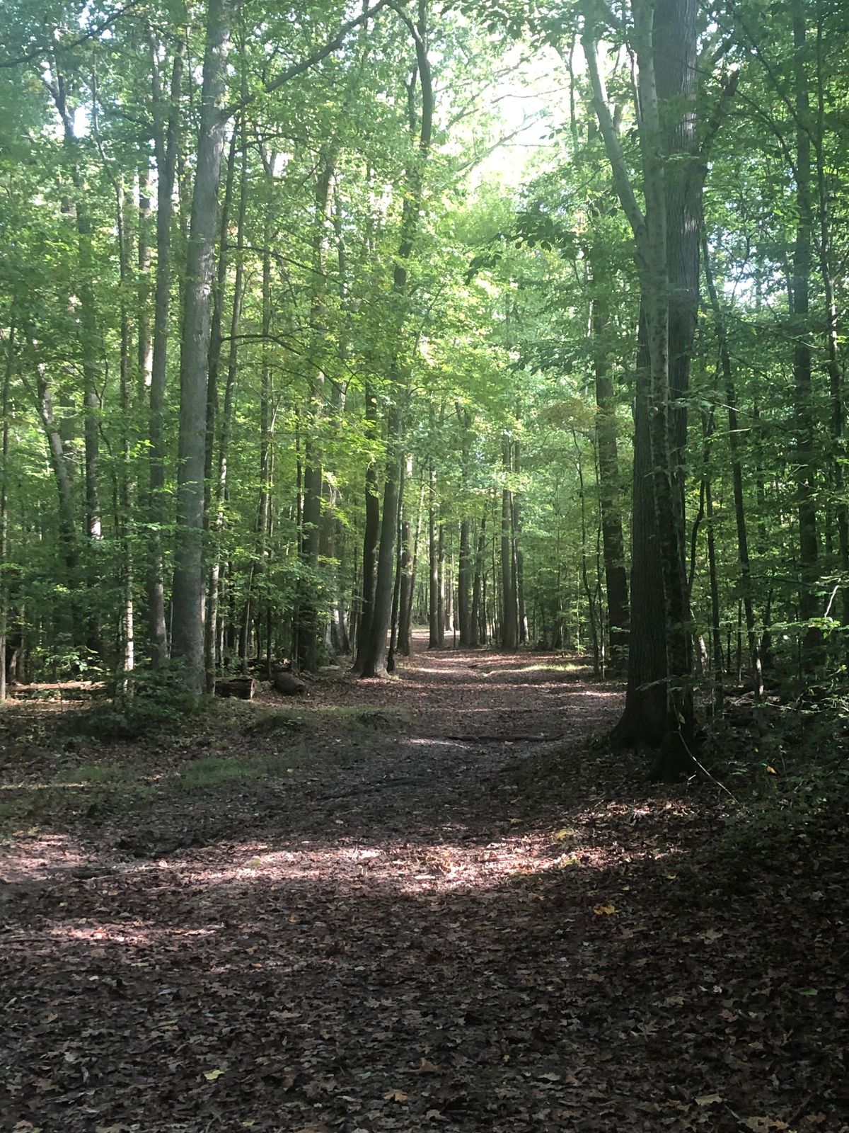 Hole 5 fairway