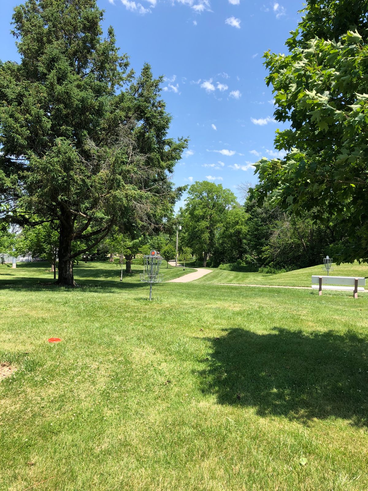 #5 Green