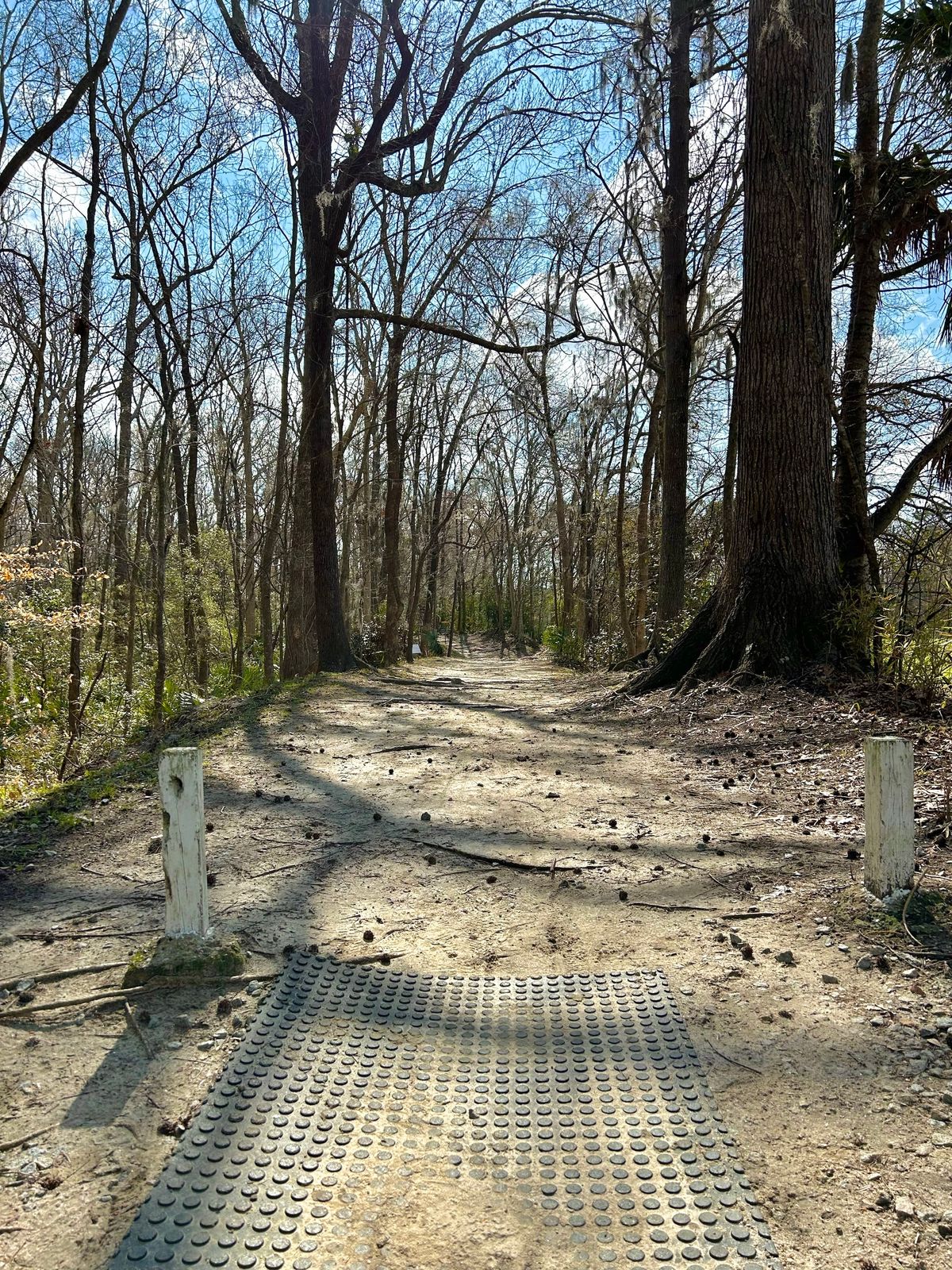 Hole 1 White Fairway