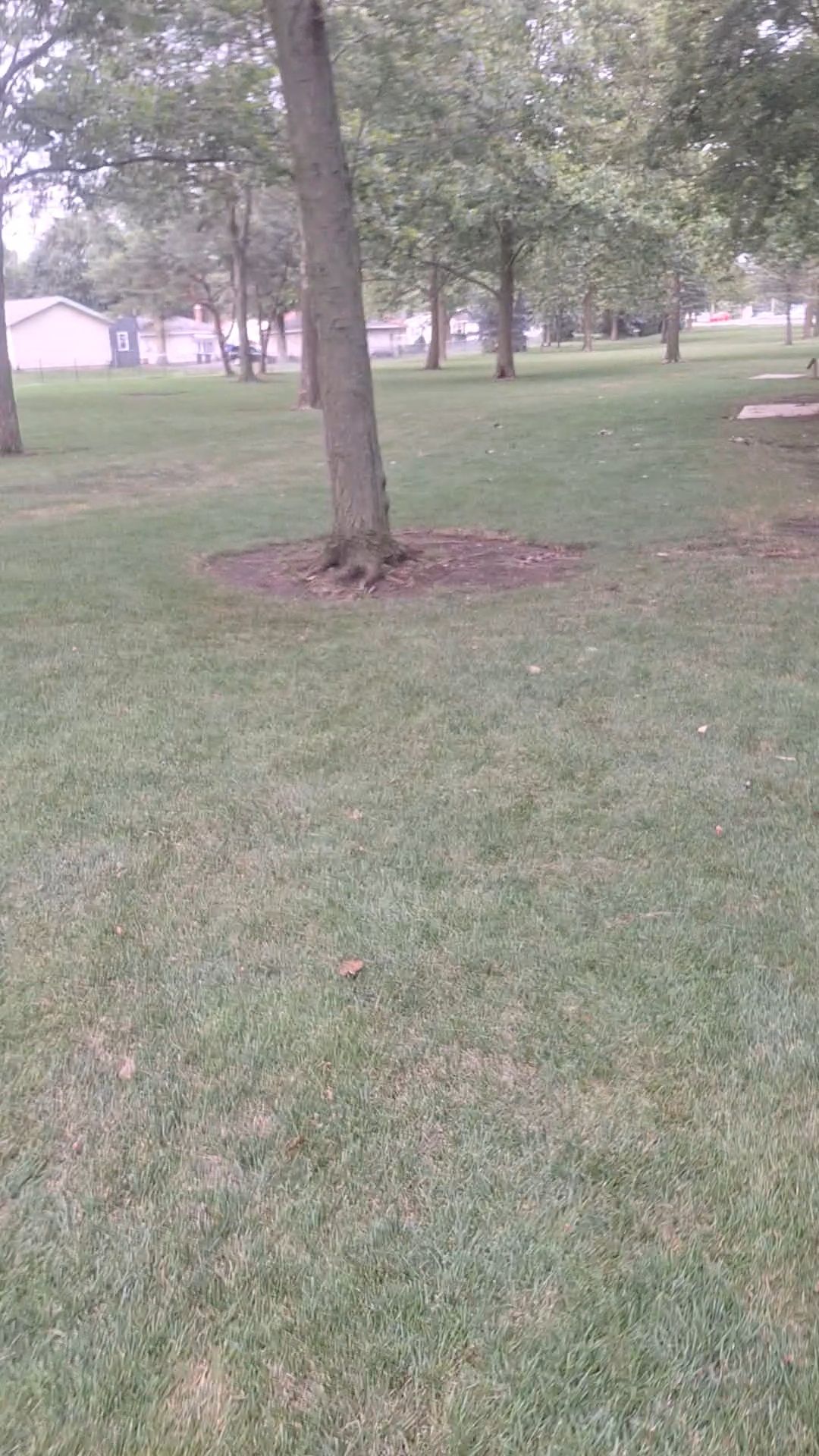 Fairway on 6