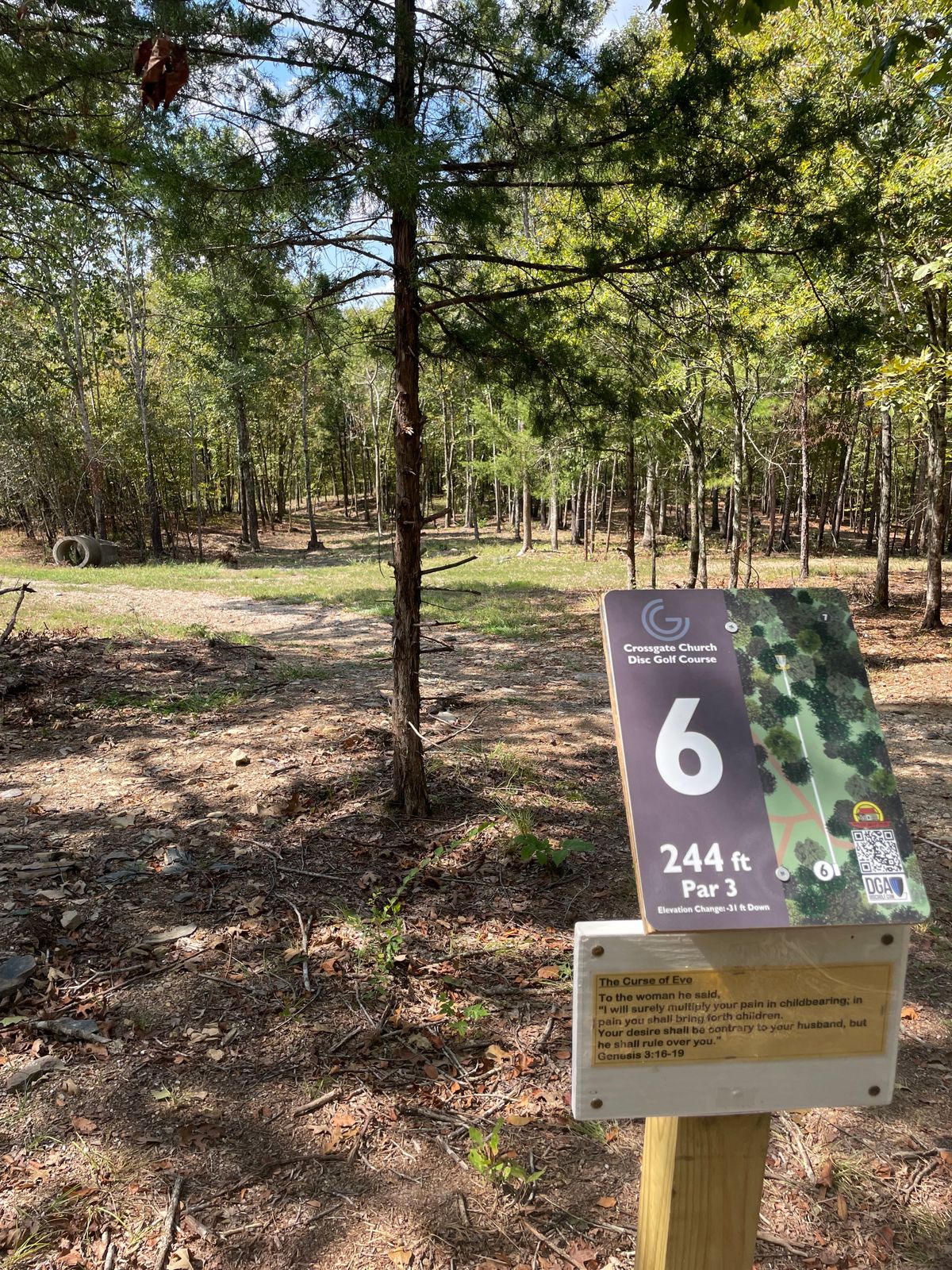 Hole 6. Ravine.