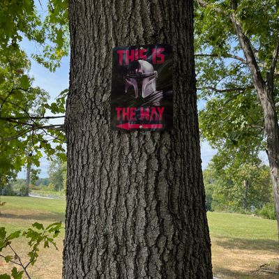 Hole 15 Mando