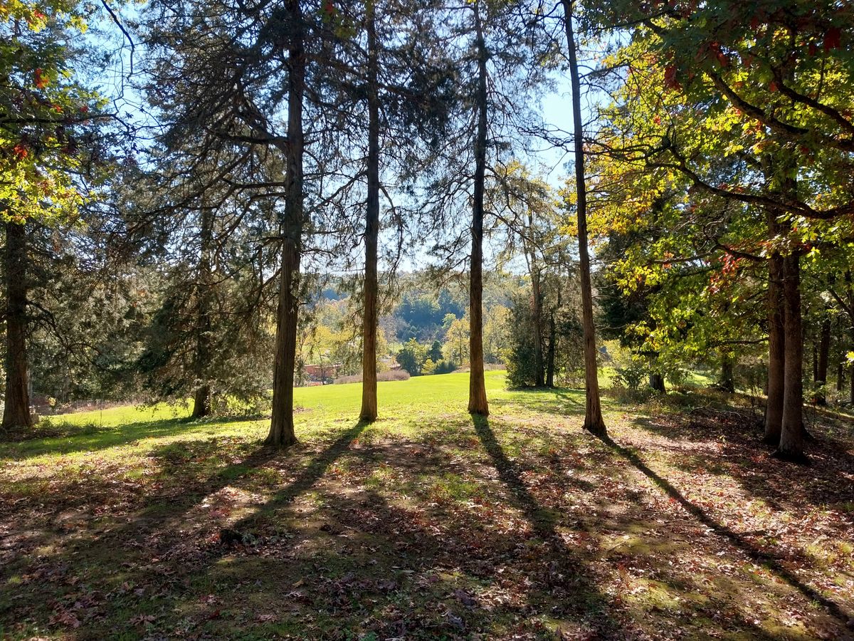 6 tee