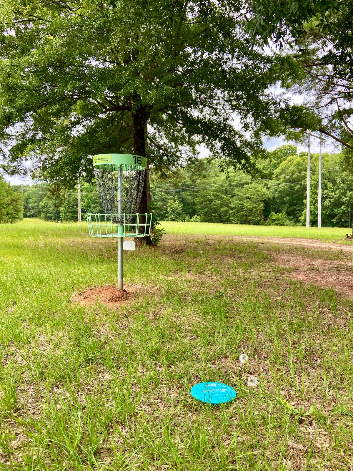 Hole 16 Basket