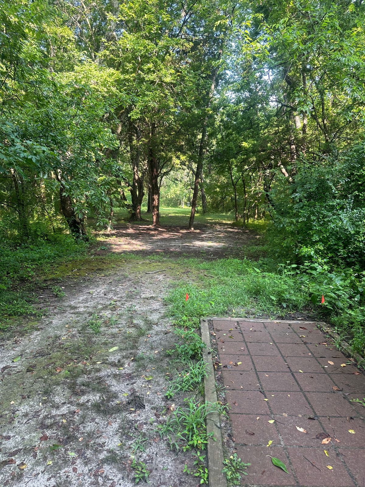 Hole 4