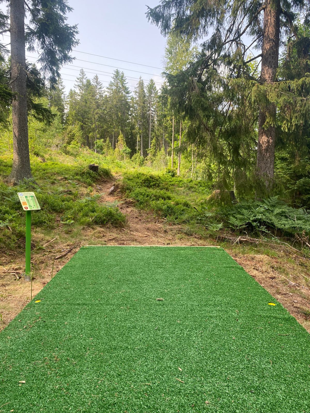 Tee #11