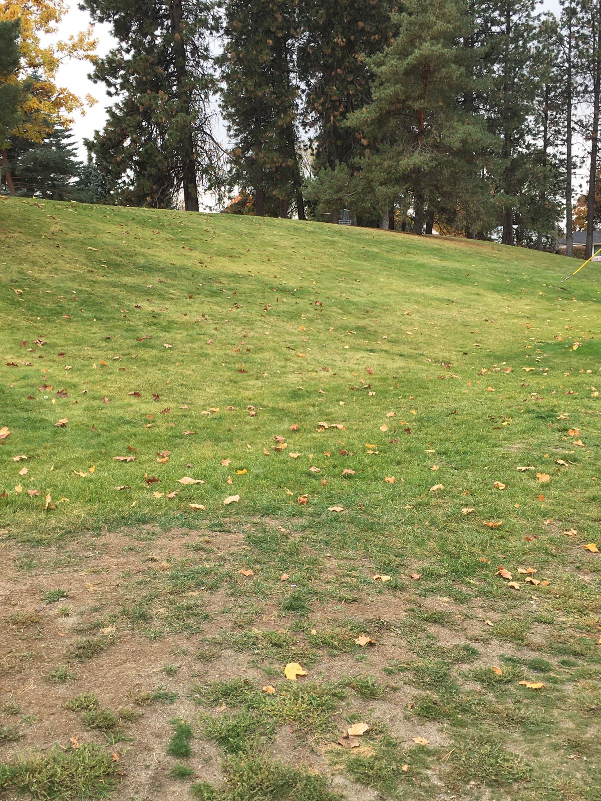 View from tee box of hole 2 (9 and 4 hole layouts)