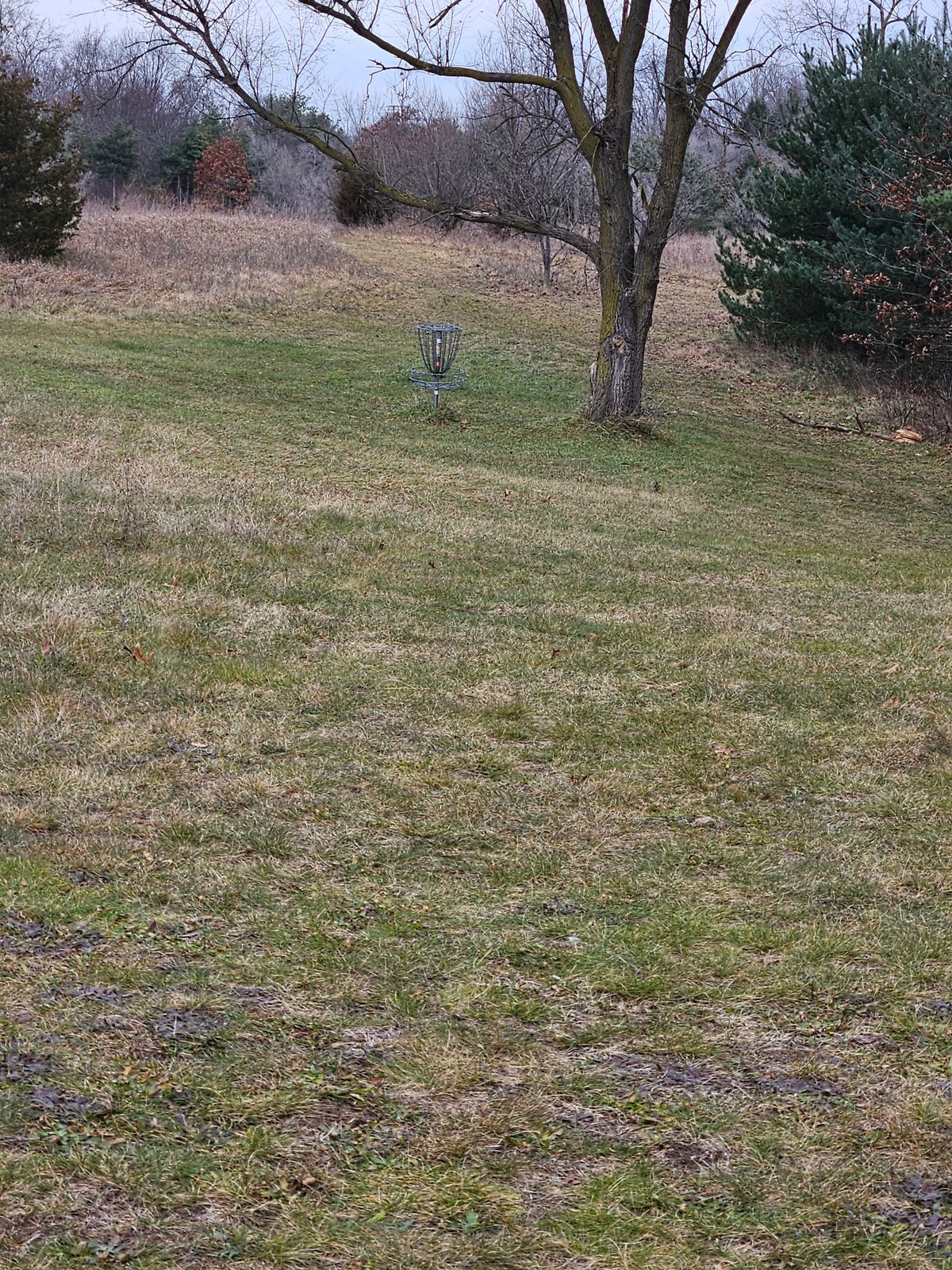 Approach basket 7