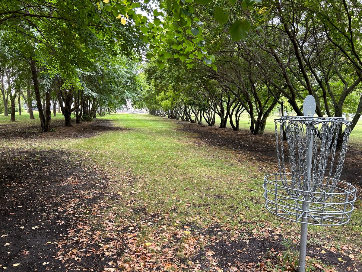 View of hole # 4s fairway from the basket
