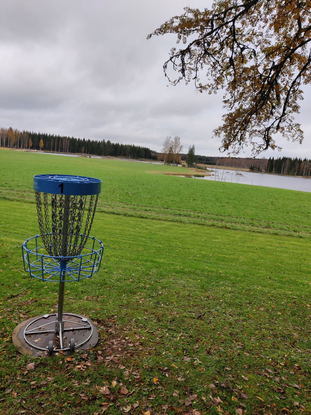 Ykkösväylän kori