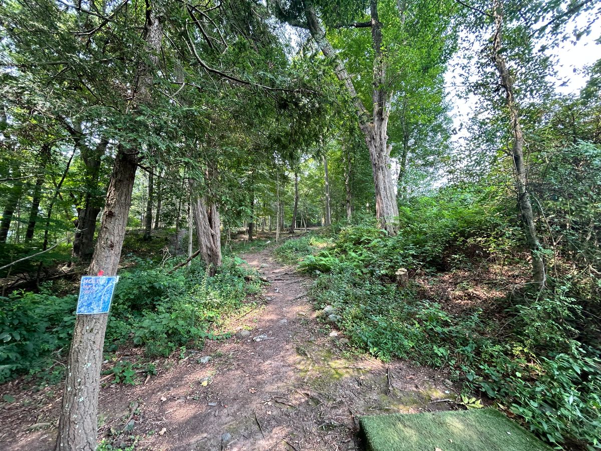 Hole 6