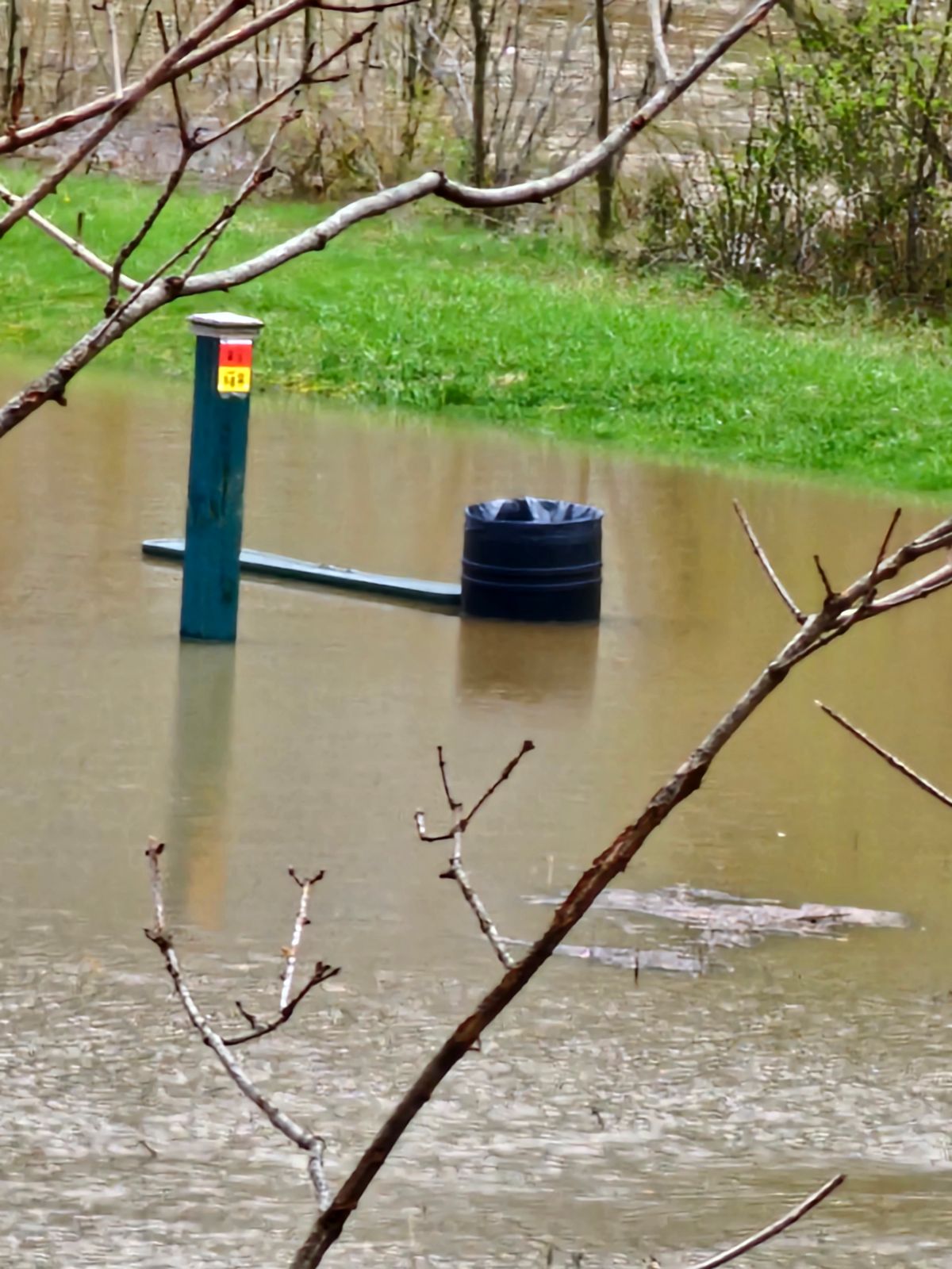 Bench at 5 (from 4 tee pad) after heavy rains.