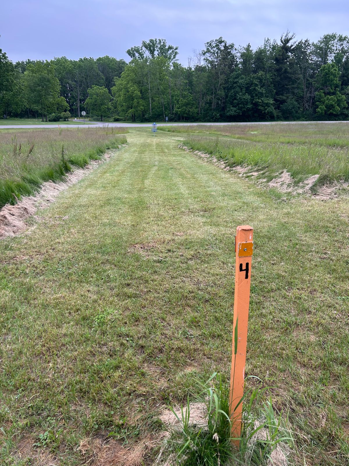 Hole 4 tee