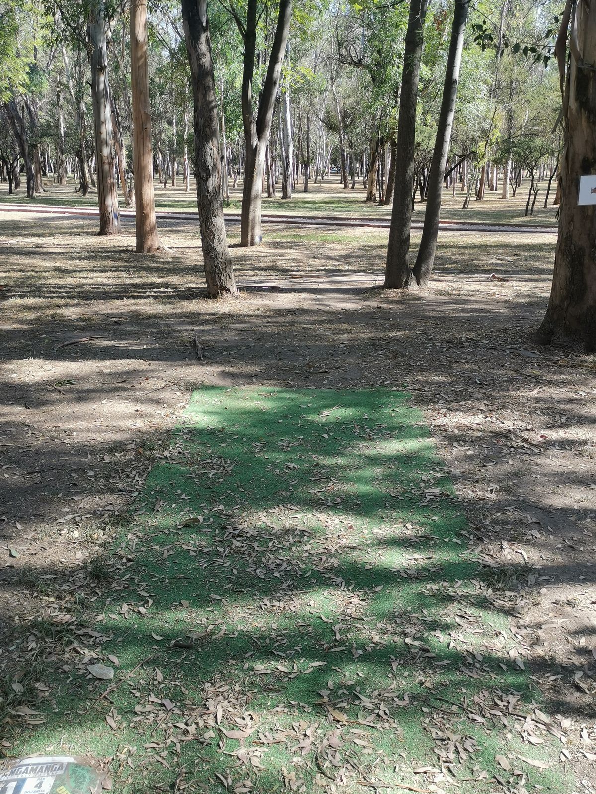 Tee H10