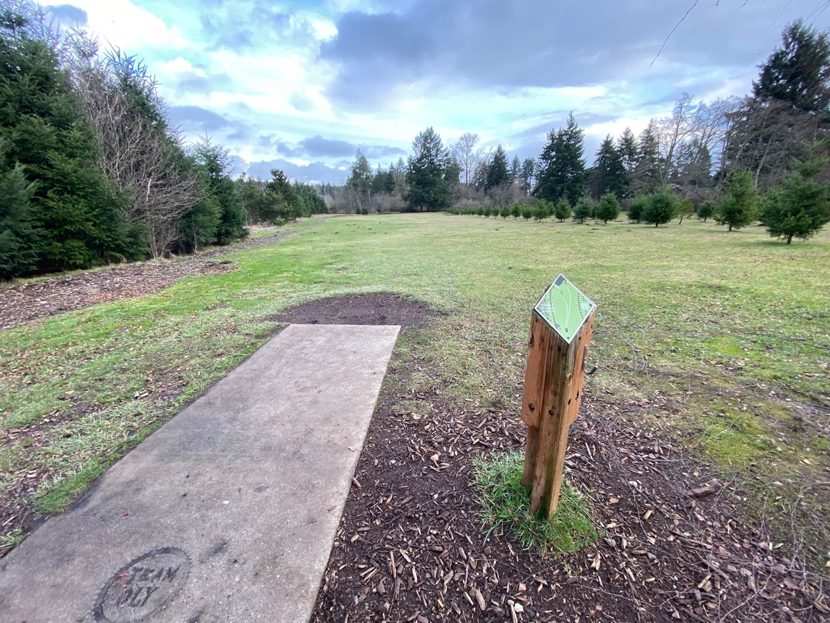 Tee Pad 1