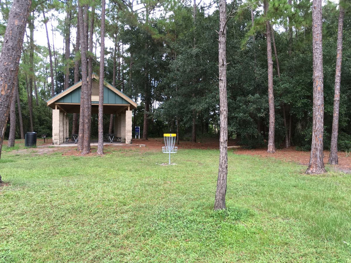 Hole 6 Basket