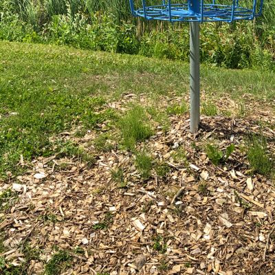 Looking back to the tee on hole 9