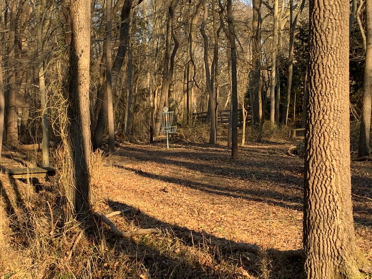Hole 6