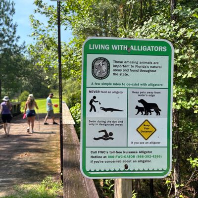 Bridge to Anderson pond