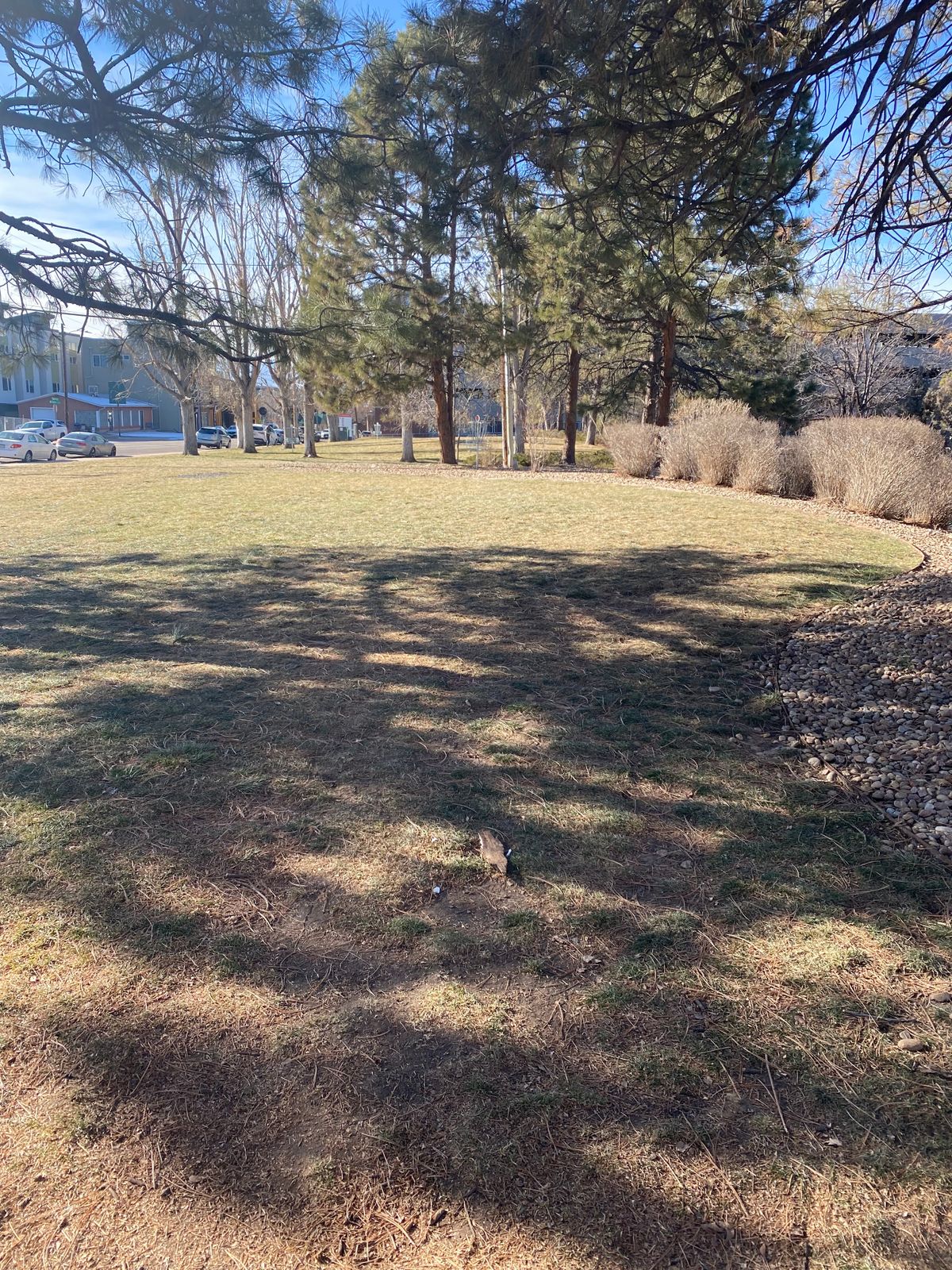 Hole 4. No gravel tee so just throw from where the grass is worn.