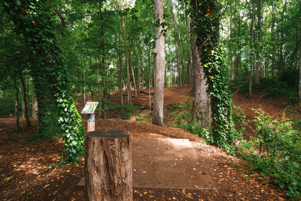 Hole 2 short