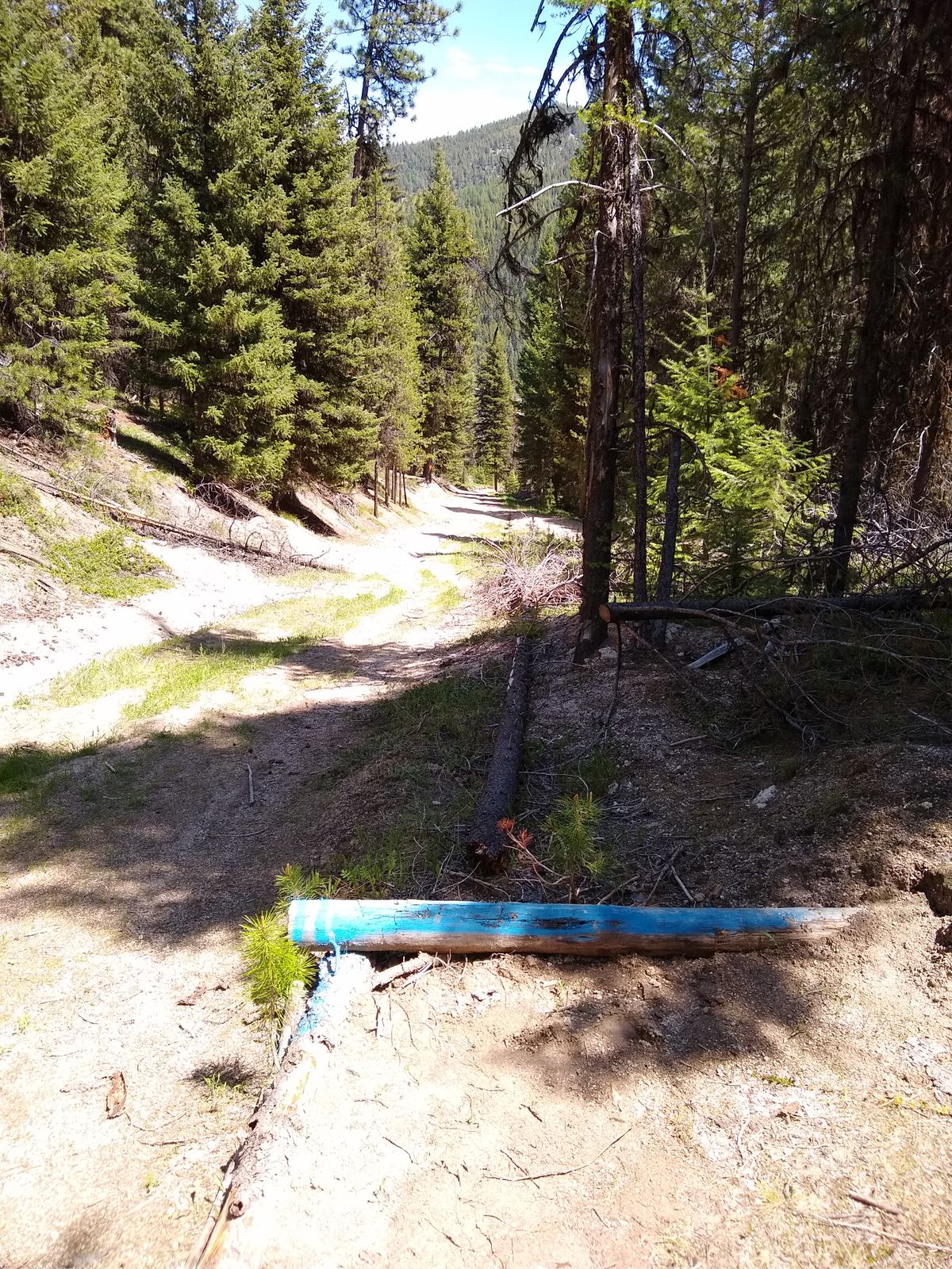 Epic downhill tunnel shot on 11