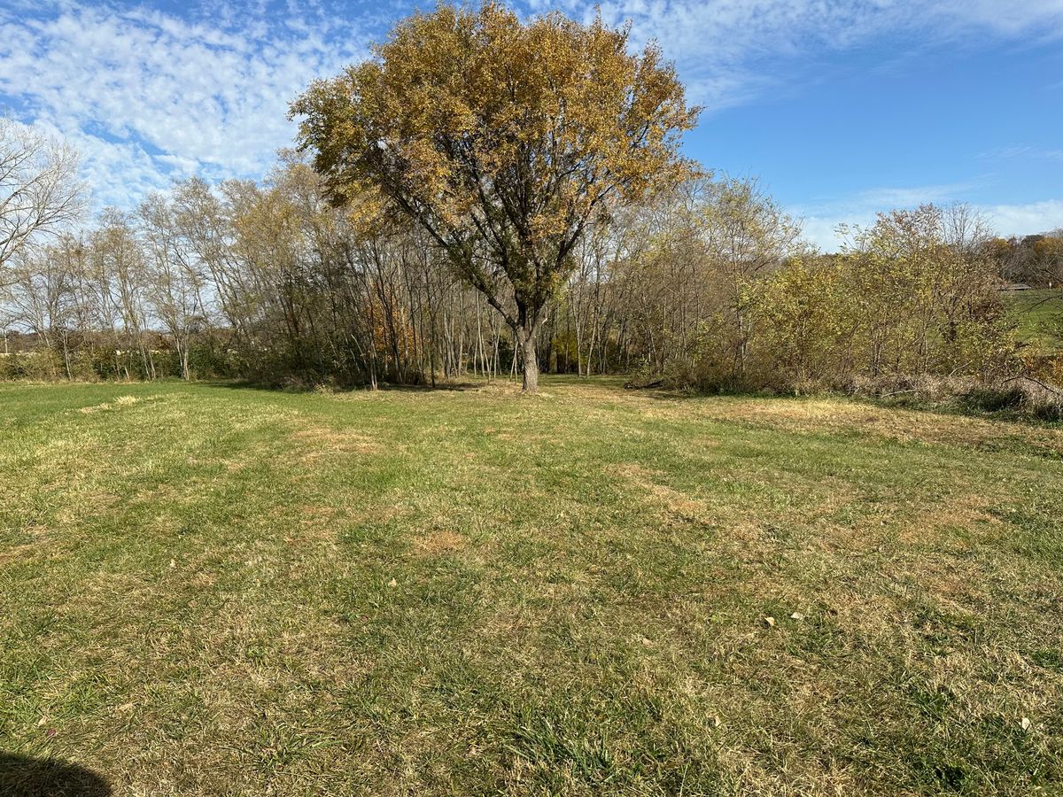Hole 20. Creek OB