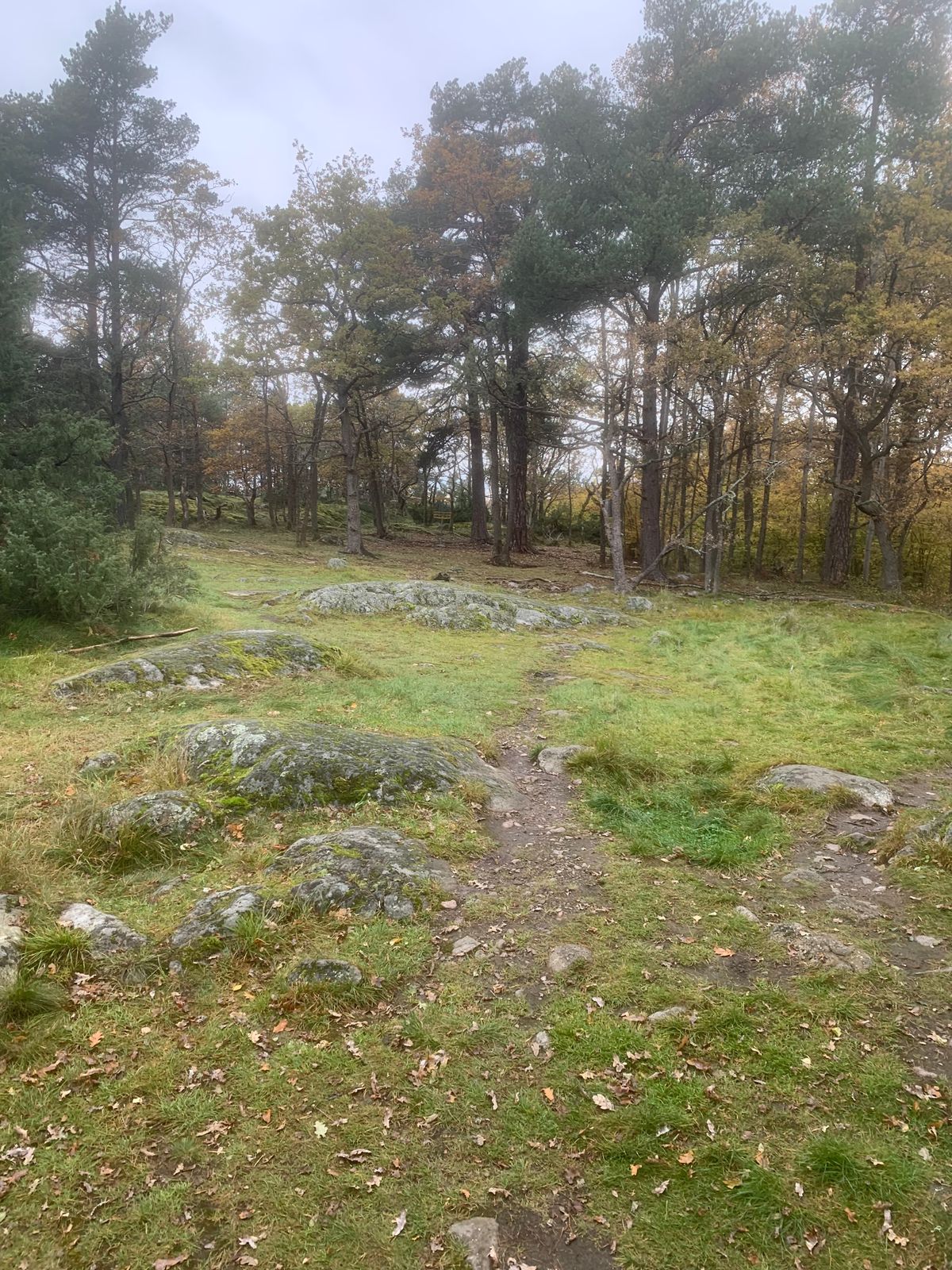 Fairway 8