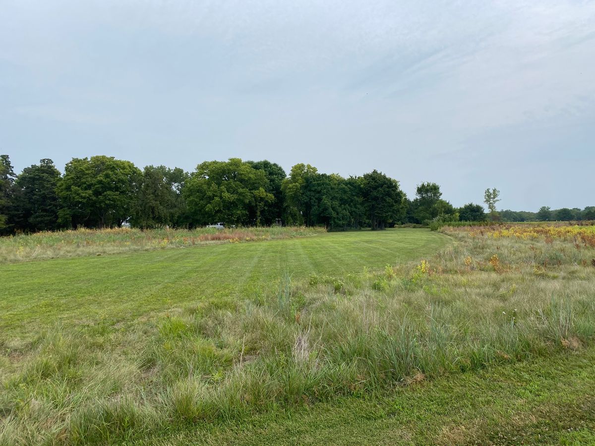 Hole 1 fairway towards tee boxes 8/2021
