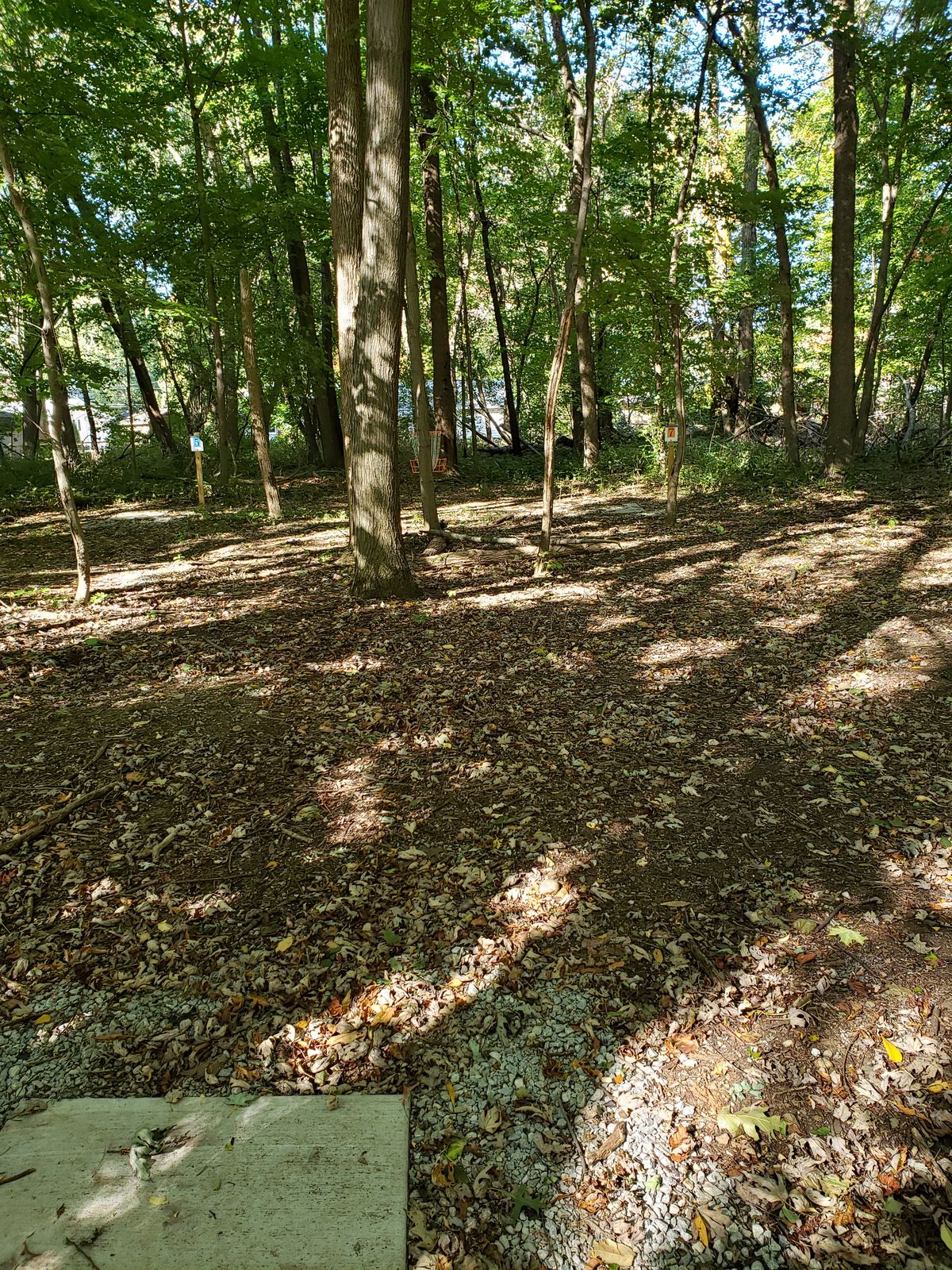 Hole 7