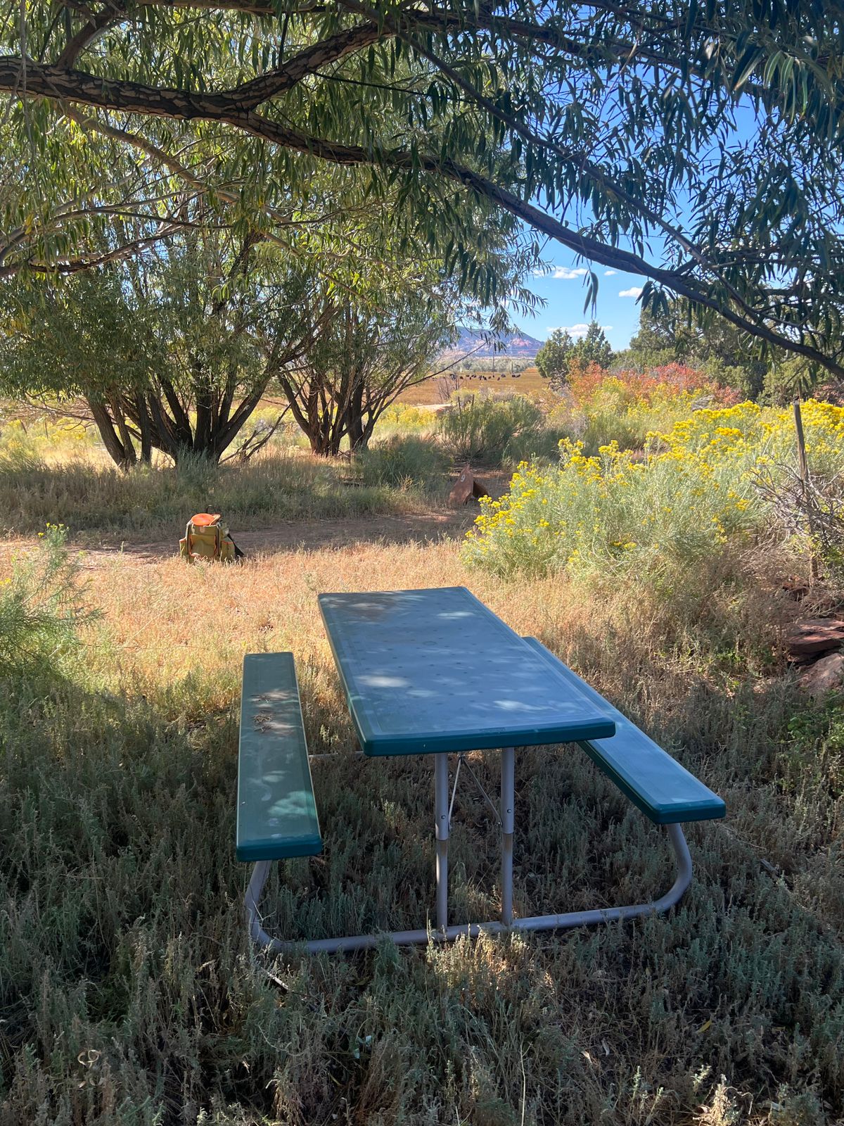 Picnic table at the tee of nine!