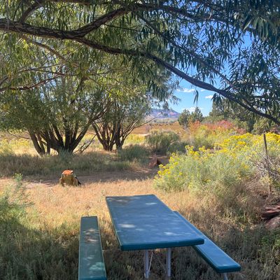 Picnic table at the tee of nine!