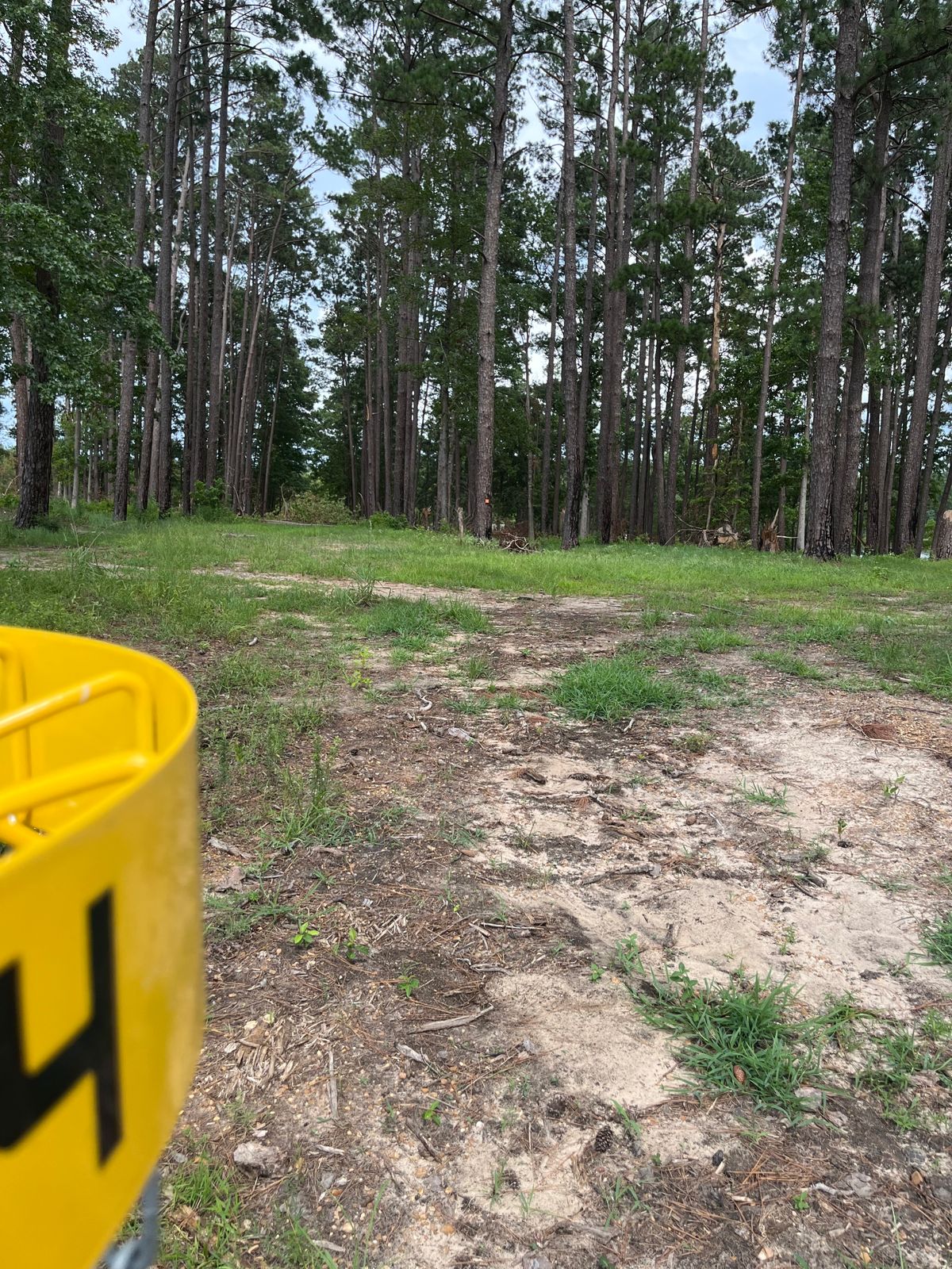 Fairway is past the tree with the orange mark in the center.
