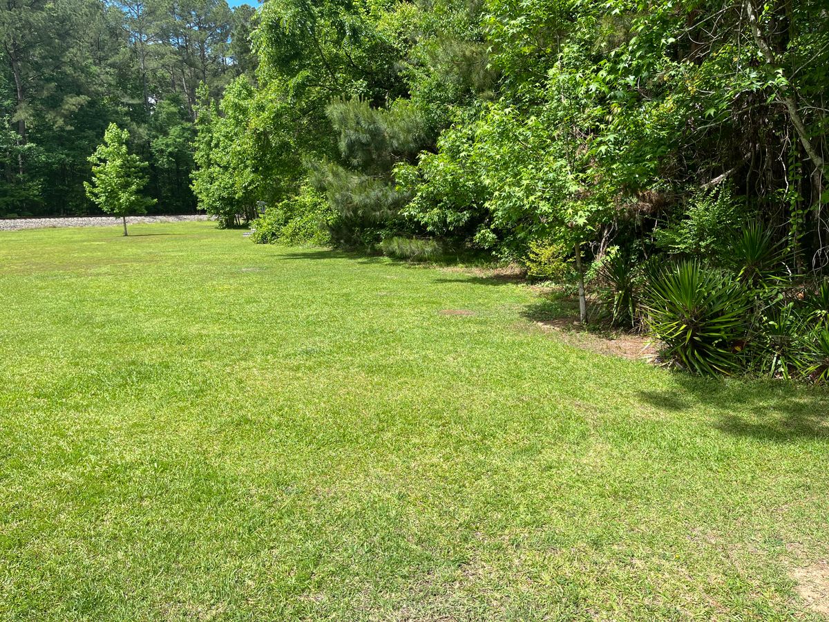 Elevated basket on the edge of the woods
