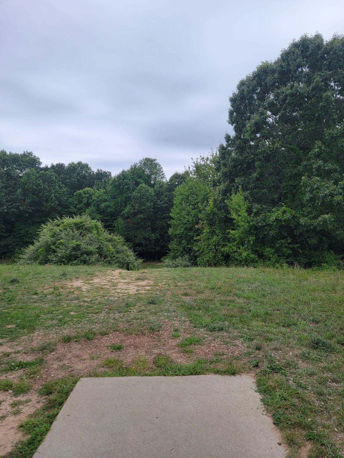 Hole #5