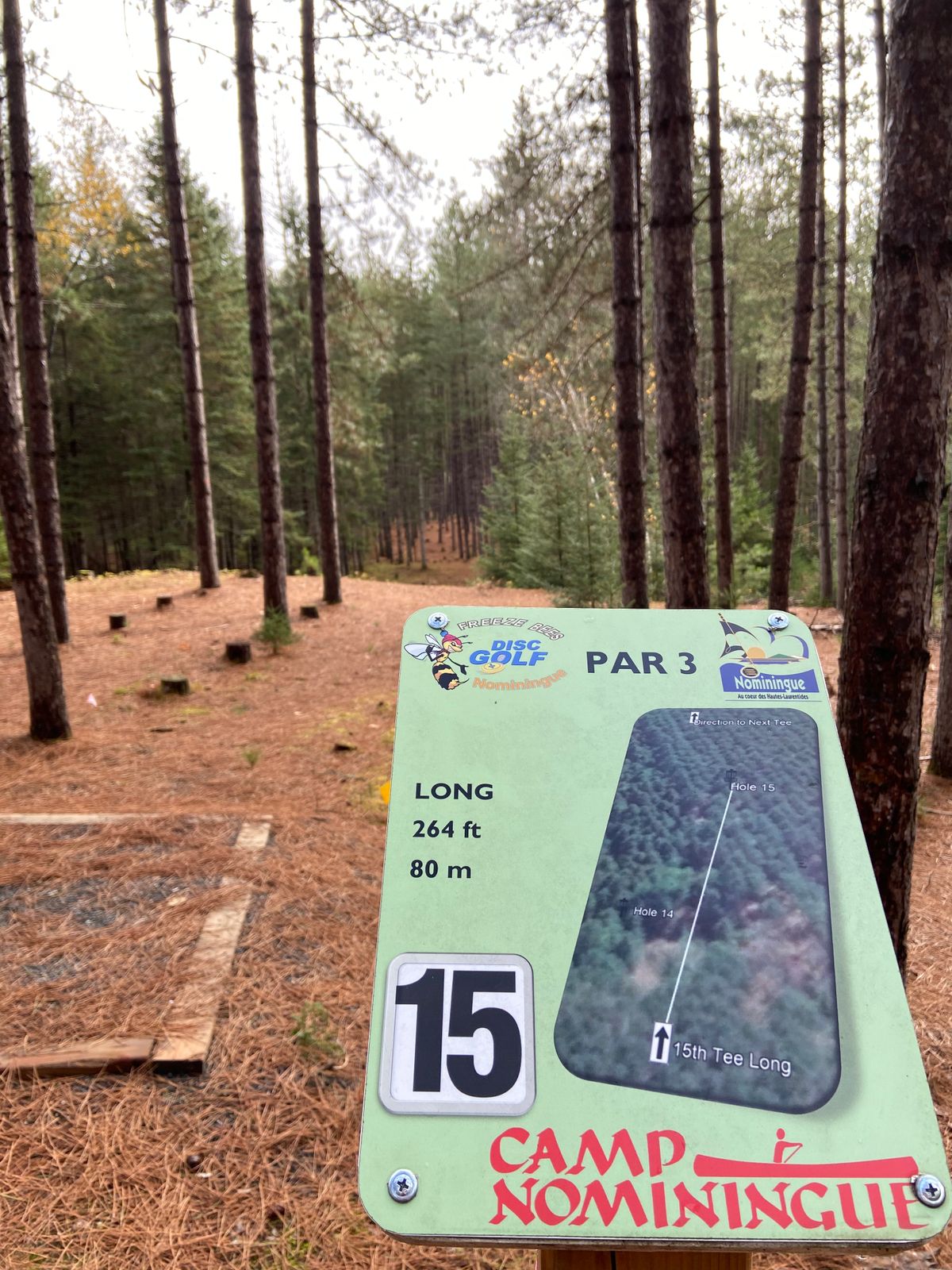 Tee 15