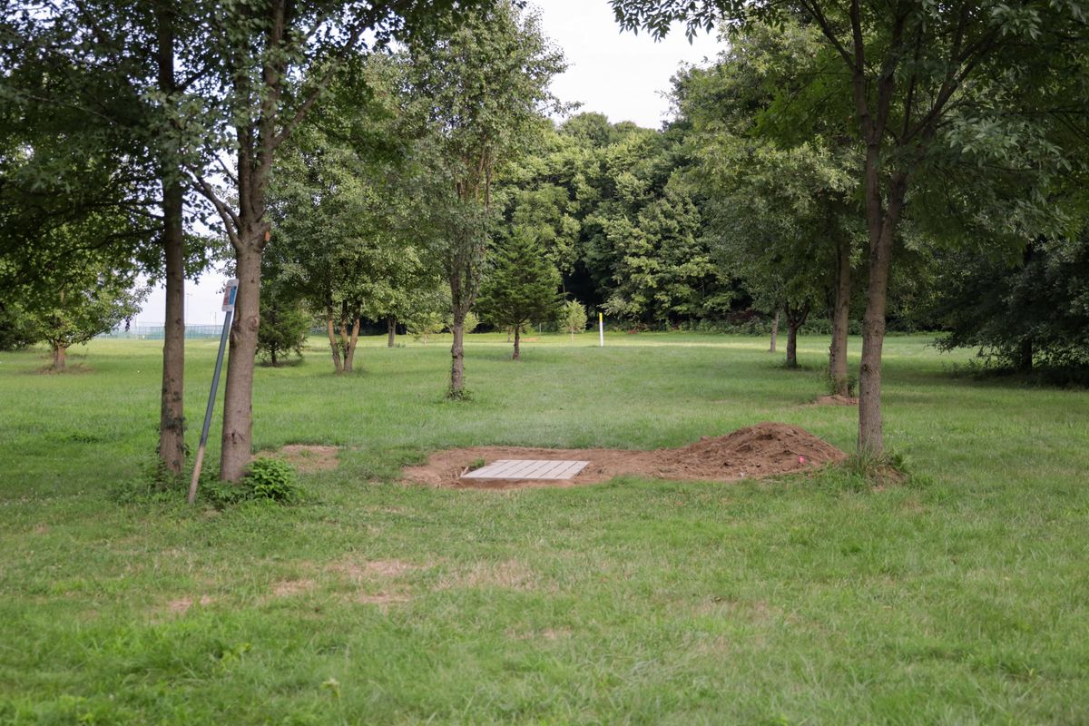 Hole 14 - long tee