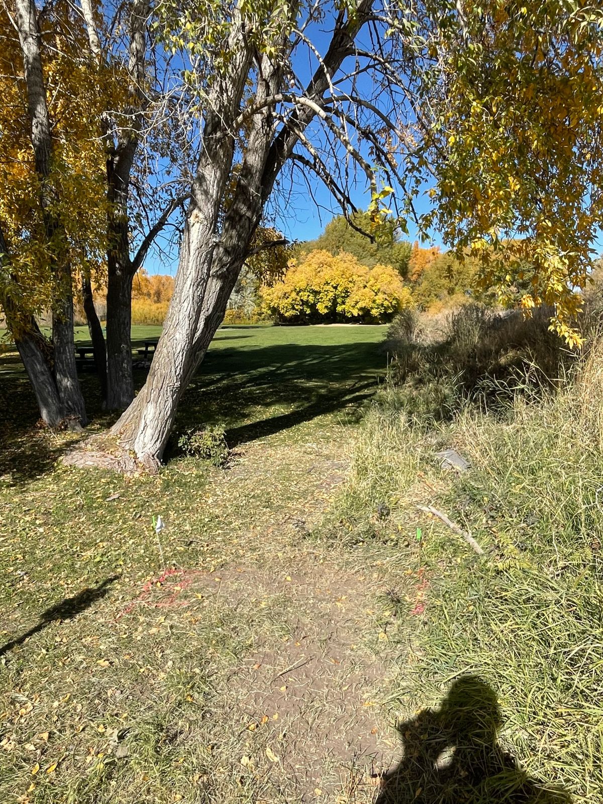 Tee Pad hole 1 Eagle Park