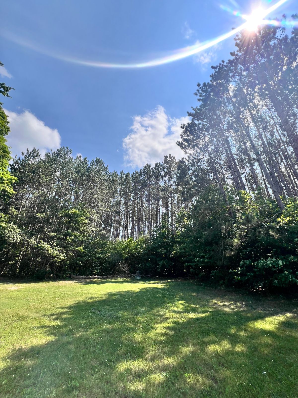 Great basket placement on hole 4