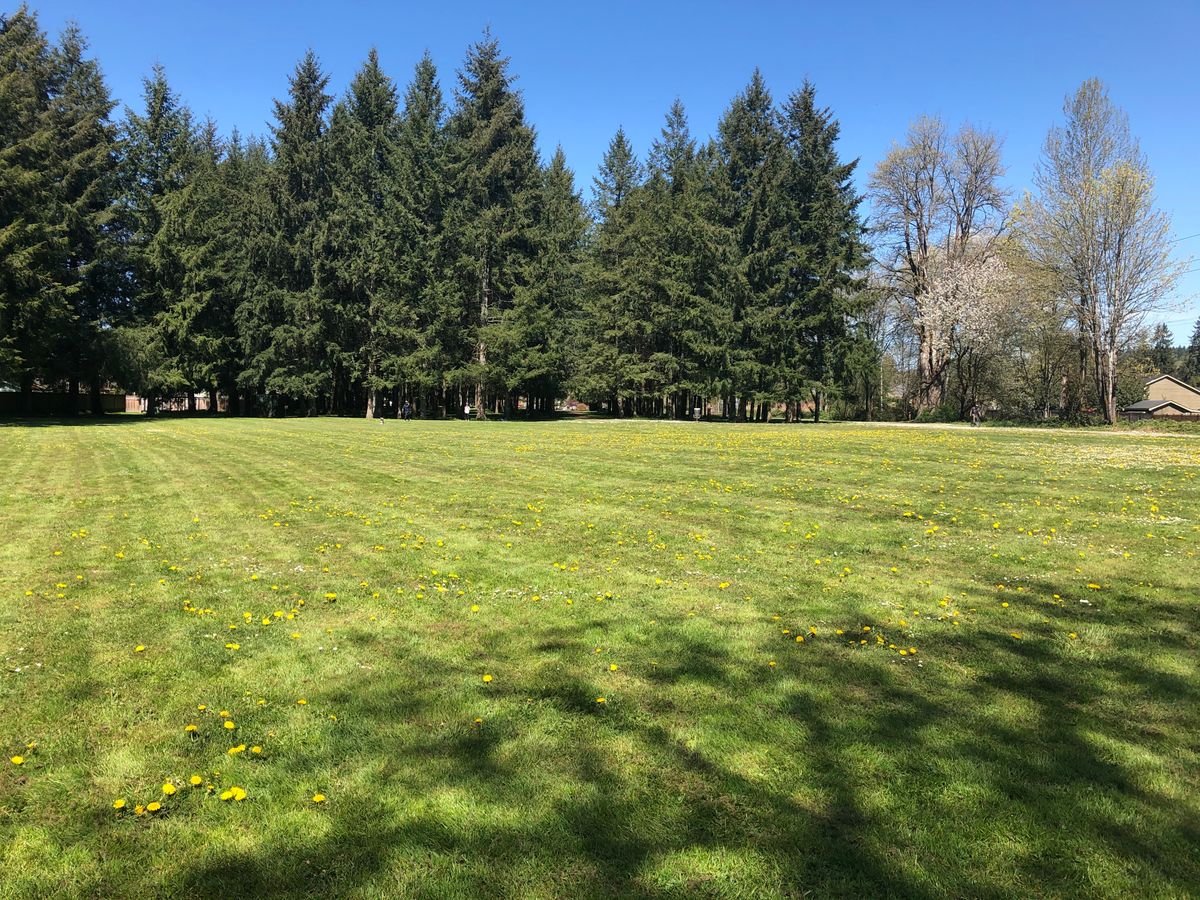 Open field into trees. Course is flat.