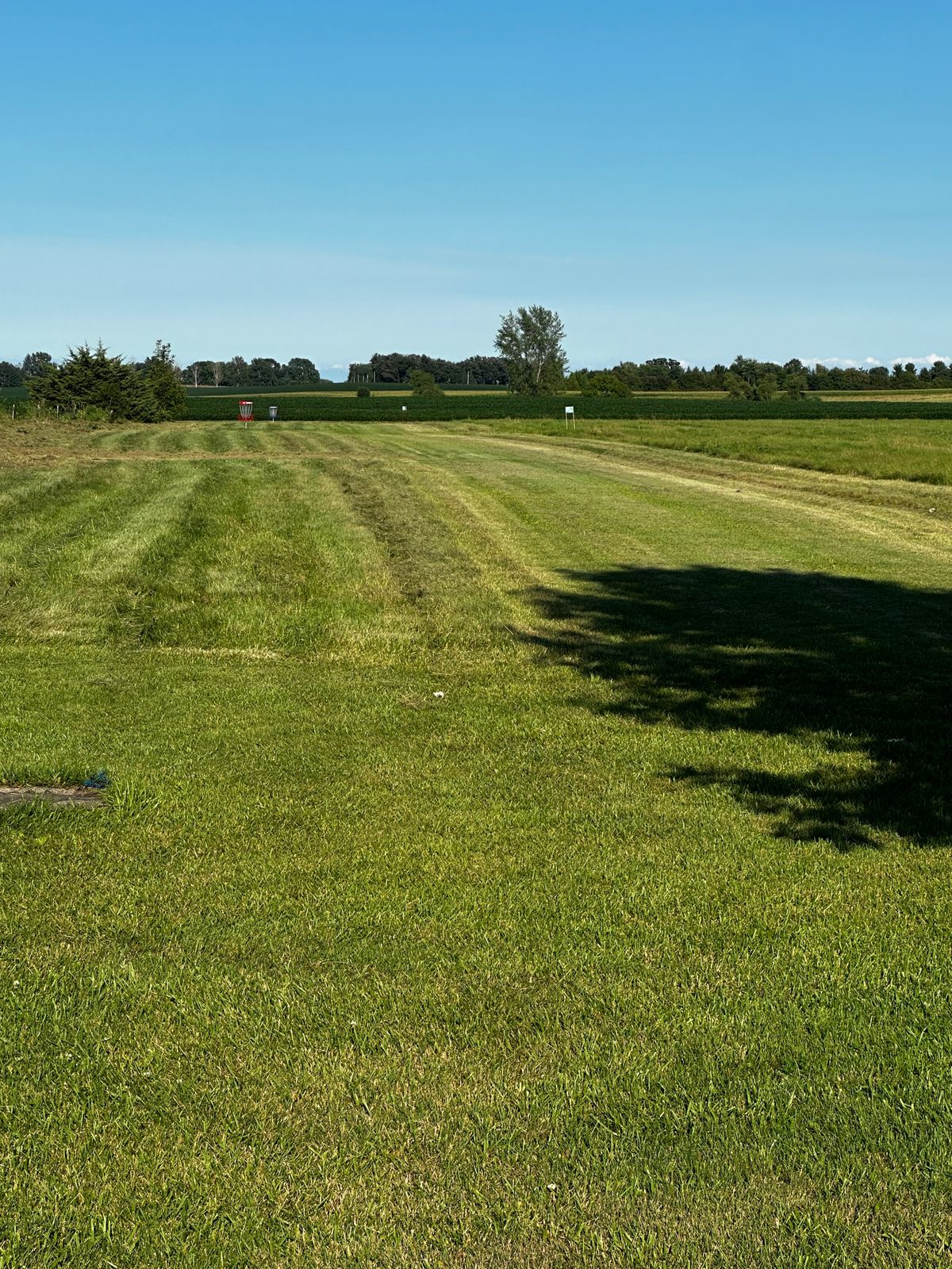 Hole 11 pin from tee box