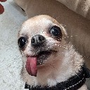 weemonkey