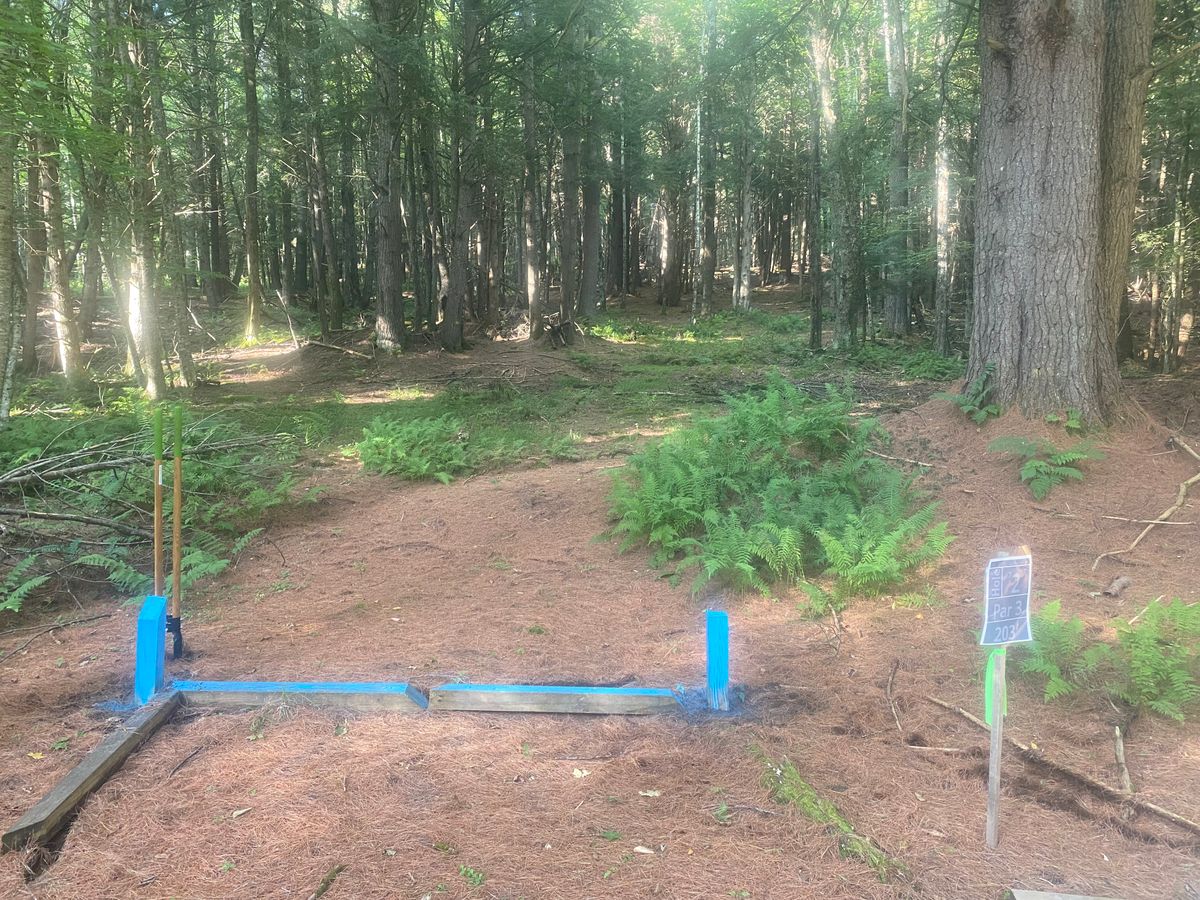 Hole 2 tee box