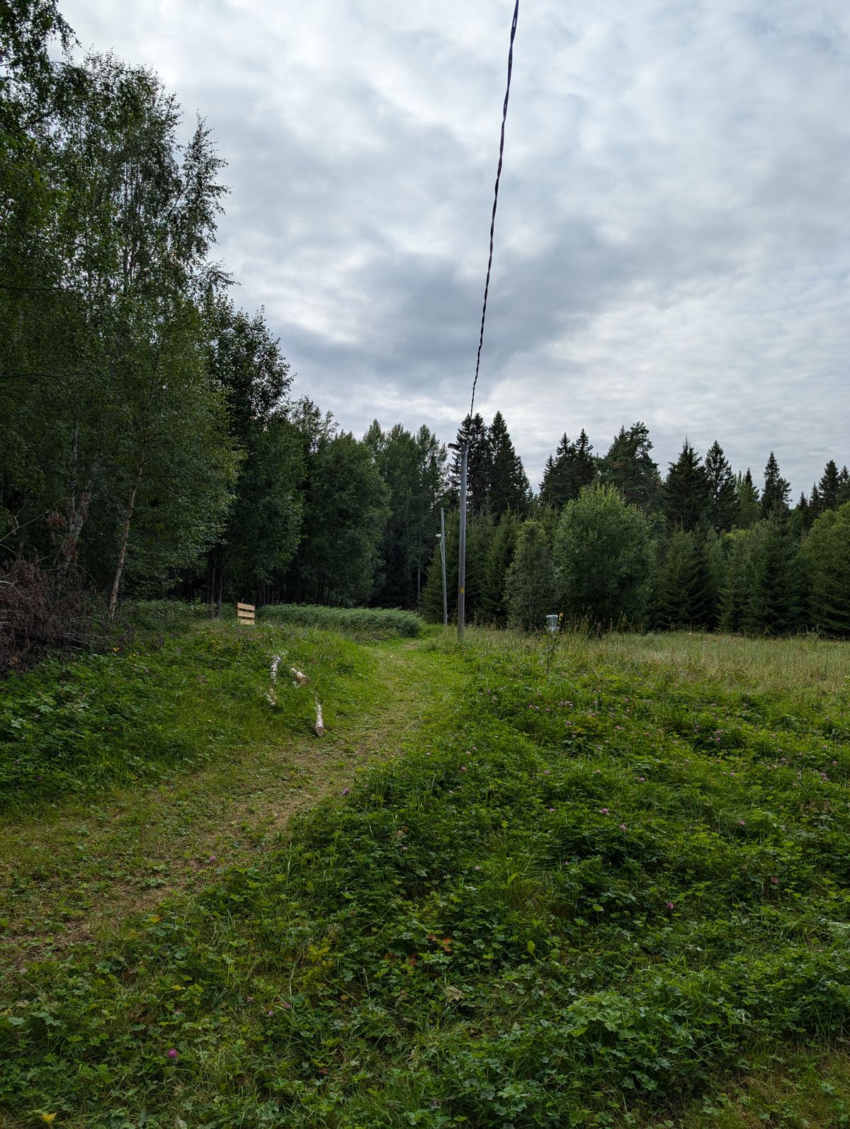 Utkast och korg hål 1