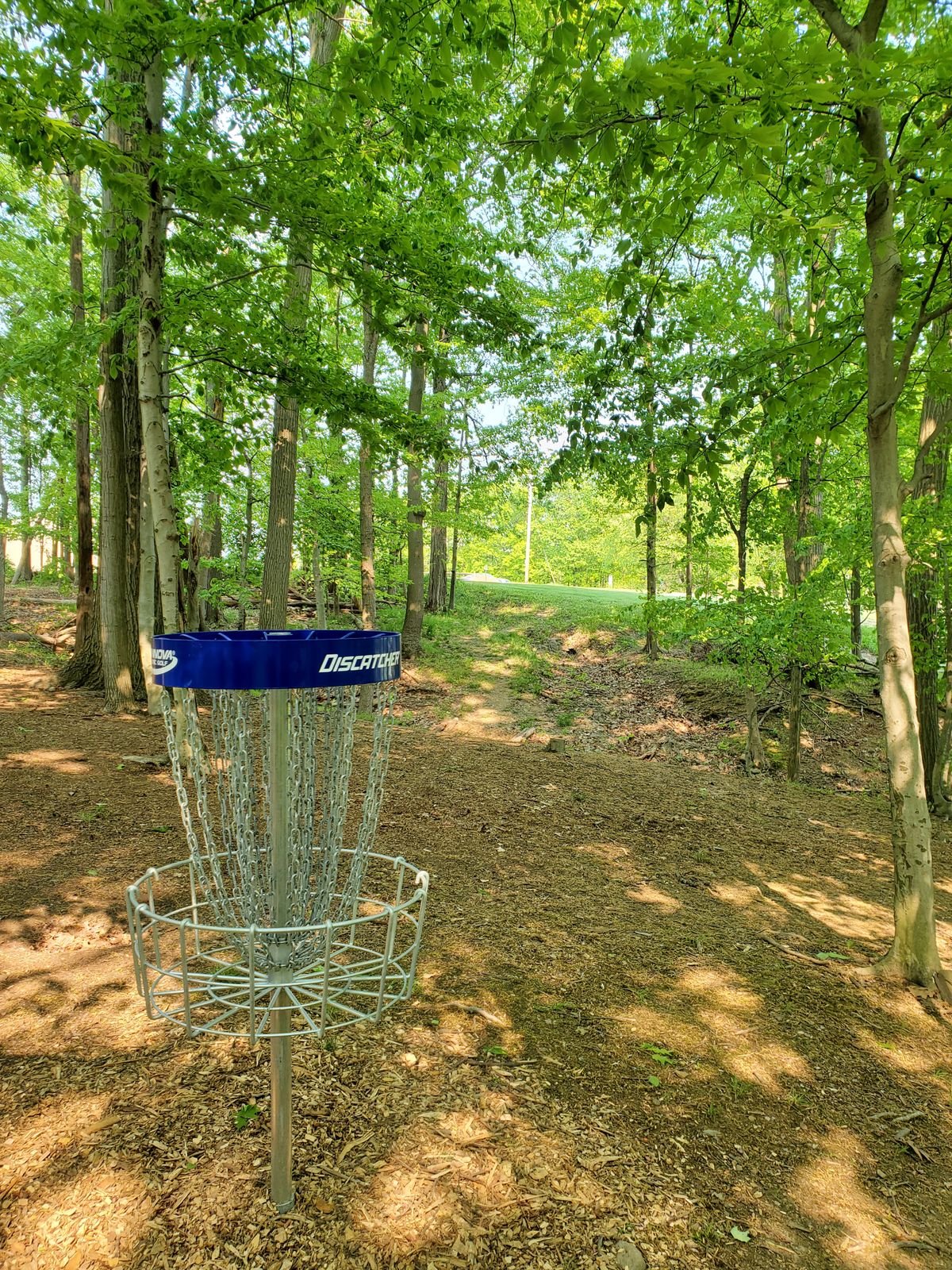 Basket to tee.