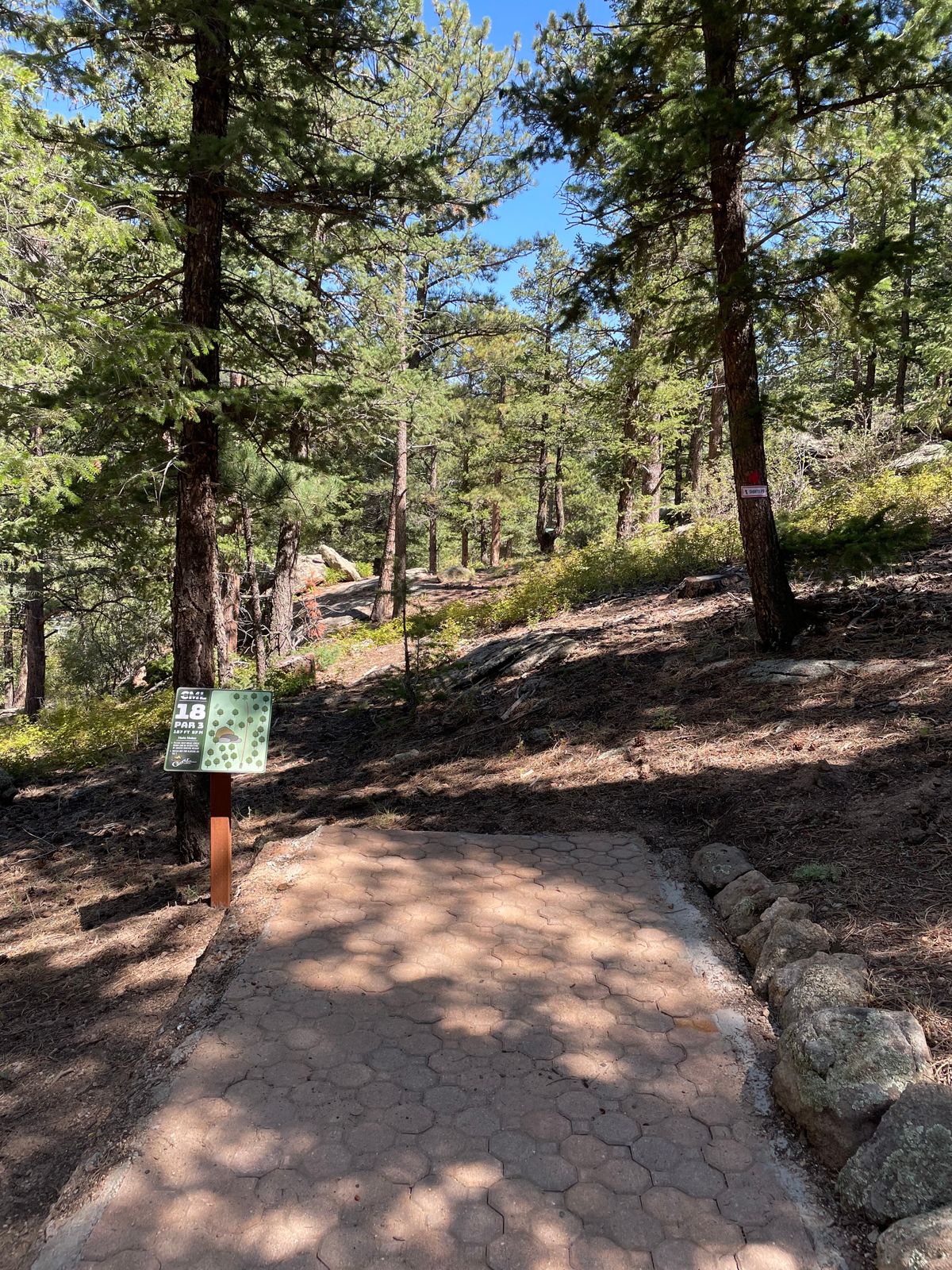 Hole 18 tee