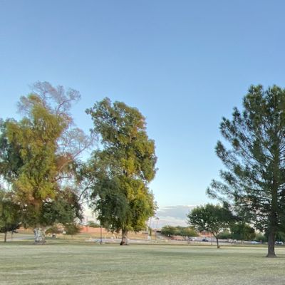 Course Photo