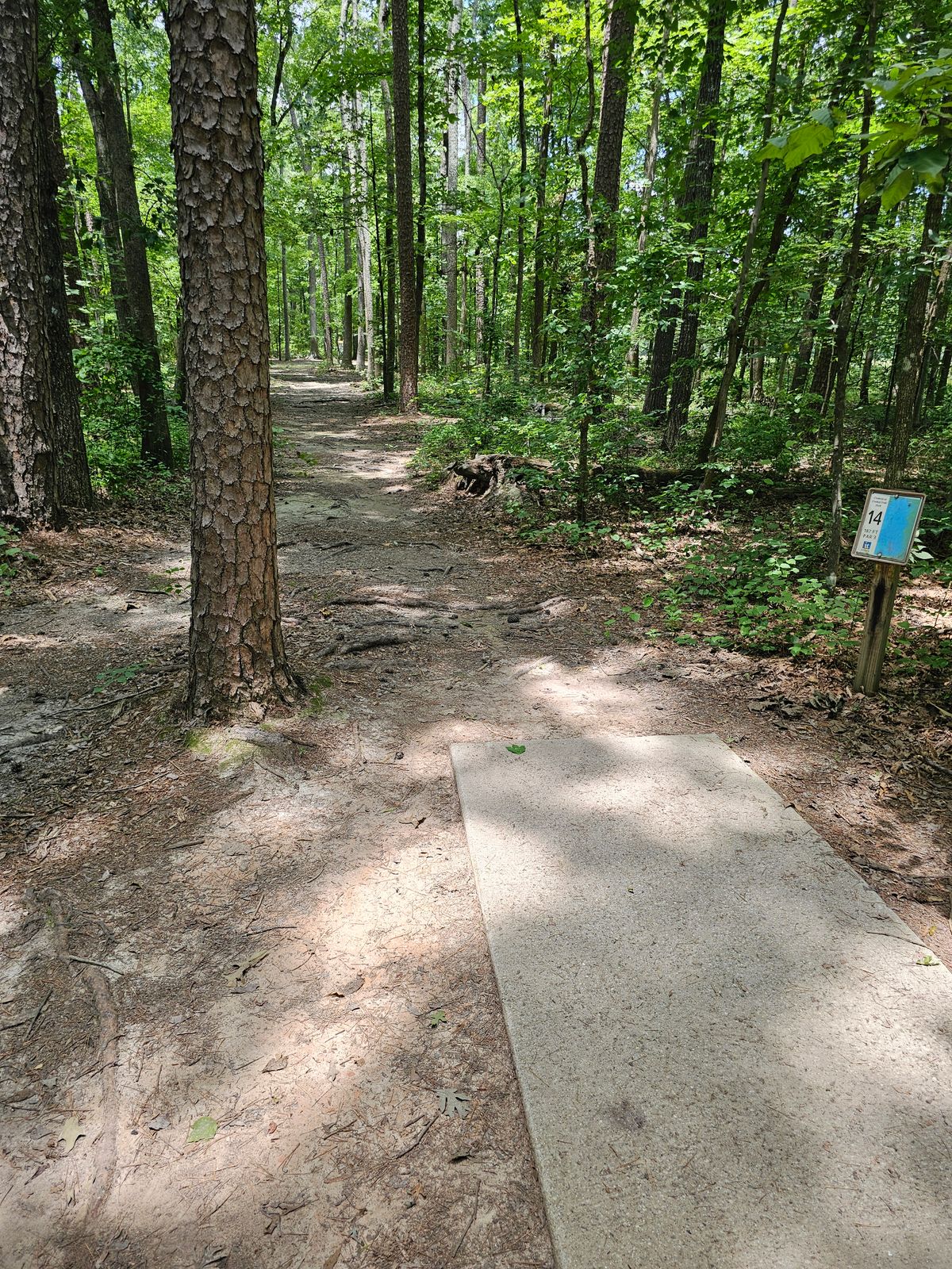 Hole 14