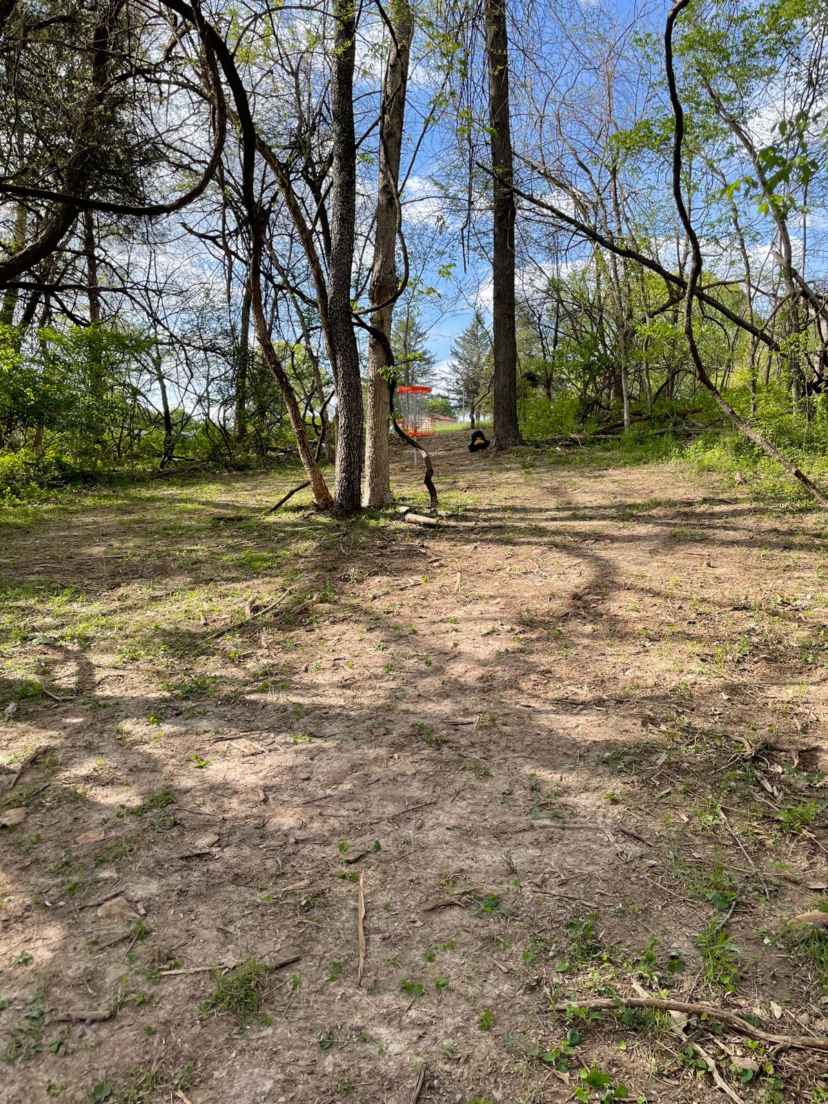 Hole 2 basket.