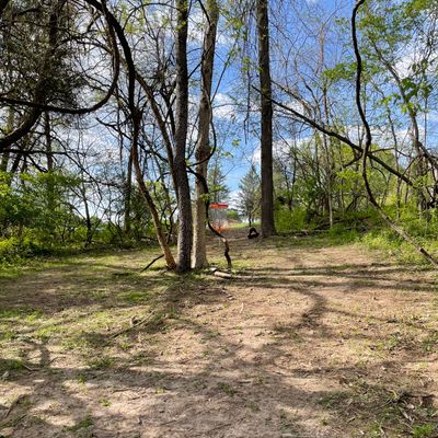 Hole 2 basket.